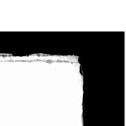 Image Tile