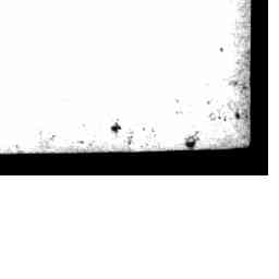 Image Tile