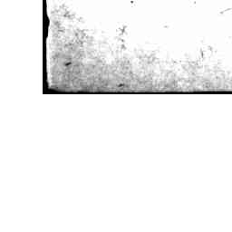Image Tile