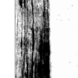 Image Tile