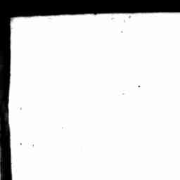 Image Tile