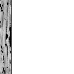 Image Tile
