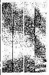Page 3 thumbnail