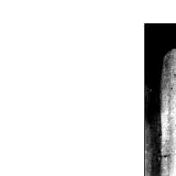 Image Tile