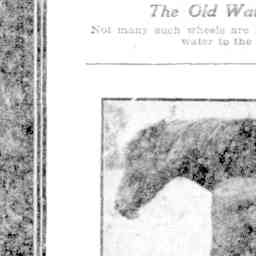 Image Tile