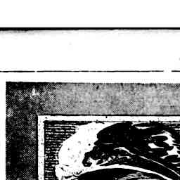 Image Tile