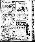 Page overview thumbnail