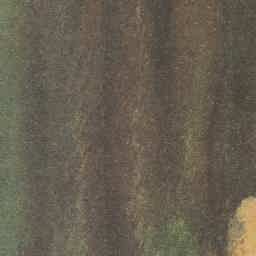 Image Tile