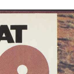 Image Tile