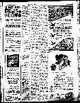Page overview thumbnail