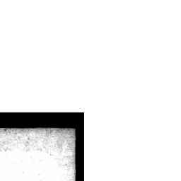Image Tile
