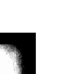 Image Tile