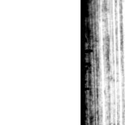 Image Tile