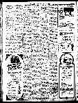 Page overview thumbnail