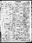 Page 19 thumbnail