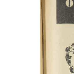 Image Tile