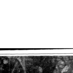 Image Tile