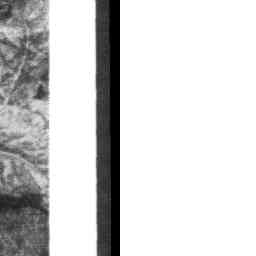 Image Tile