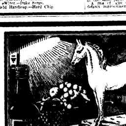 Image Tile