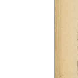 Image Tile