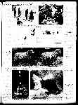 Page overview thumbnail