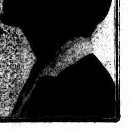 Image Tile