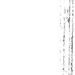 Image Tile