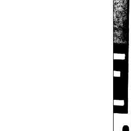 Image Tile