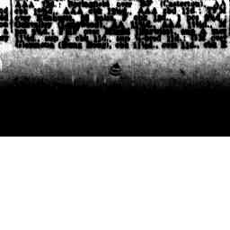 Image Tile