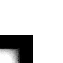 Image Tile