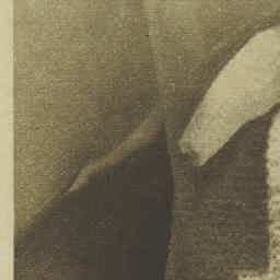 Image Tile