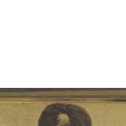 Image Tile