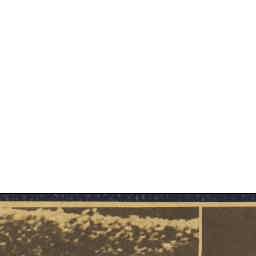 Image Tile