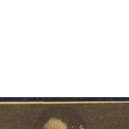 Image Tile
