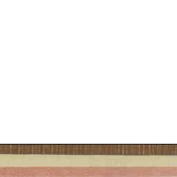 Image Tile