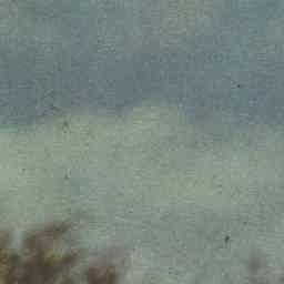 Image Tile