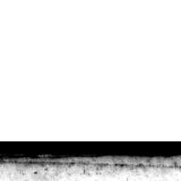 Image Tile