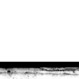 Image Tile
