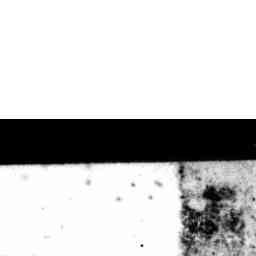 Image Tile