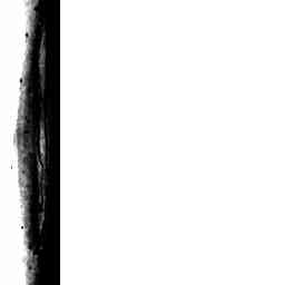Image Tile