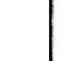 Image Tile