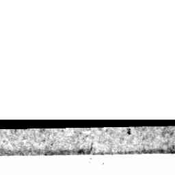 Image Tile