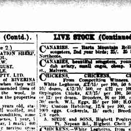 05 Aug 1933 Advertising Trove