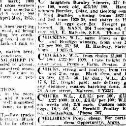 05 Aug 1933 Advertising Trove
