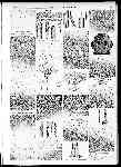 Page overview thumbnail