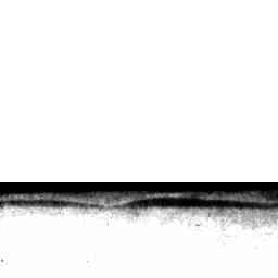 Image Tile