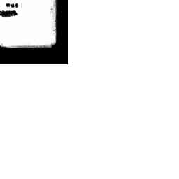 Image Tile