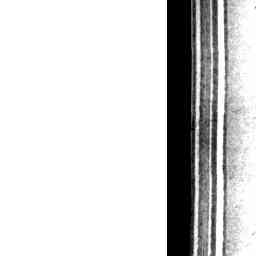 Image Tile