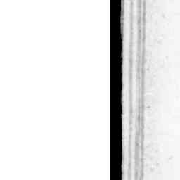 Image Tile