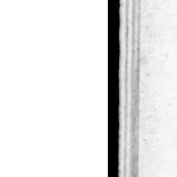 Image Tile